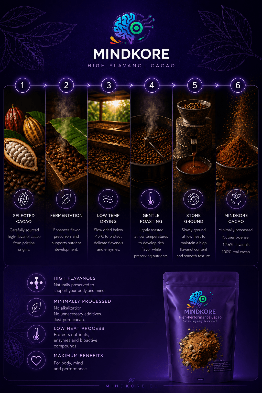 Mindkore high flavanol cacao powder infographic showing production process and benefits.